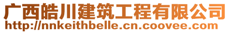 廣西皓川建筑工程有限公司