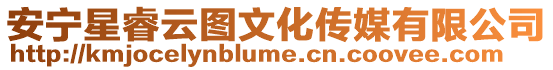 安寧星睿云圖文化傳媒有限公司
