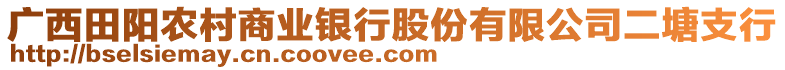 广西田阳农村商业银行股份有限公司二塘支行