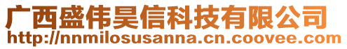 廣西盛偉昊信科技有限公司