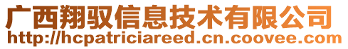 廣西翔馭信息技術(shù)有限公司