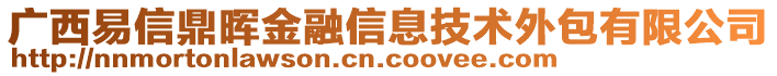 廣西易信鼎暉金融信息技術(shù)外包有限公司