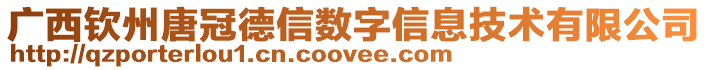 广西钦州唐冠德信数字信息技术有限公司