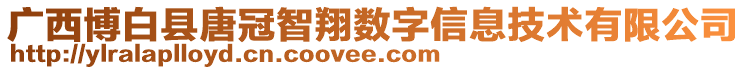 廣西博白縣唐冠智翔數(shù)字信息技術(shù)有限公司