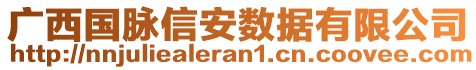 广西国脉信安数据有限公司