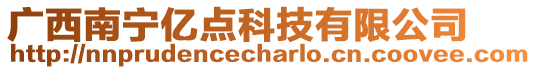 廣西南寧億點科技有限公司