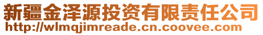 新疆金澤源投資有限責(zé)任公司