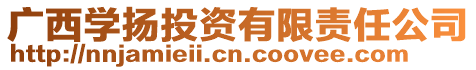 廣西學揚投資有限責任公司