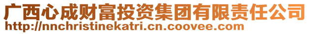 廣西心成財富投資集團有限責任公司