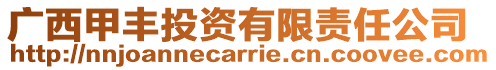 廣西甲豐投資有限責任公司