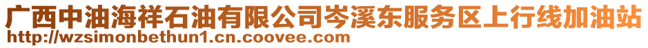 廣西中油海祥石油有限公司岑溪東服務(wù)區(qū)上行線加油站