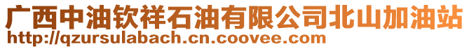 廣西中油欽祥石油有限公司北山加油站