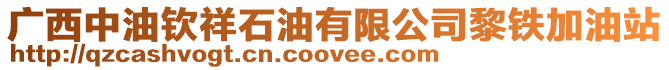 廣西中油欽祥石油有限公司黎鐵加油站