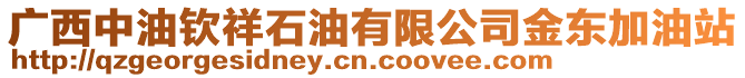 廣西中油欽祥石油有限公司金東加油站