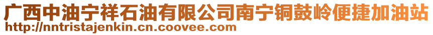 廣西中油寧祥石油有限公司南寧銅鼓嶺便捷加油站