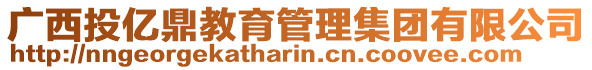 廣西投億鼎教育管理集團(tuán)有限公司