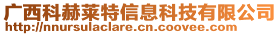 廣西科赫萊特信息科技有限公司