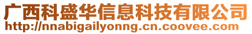 廣西科盛華信息科技有限公司