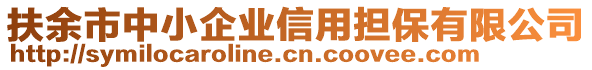 扶余市中小企業(yè)信用擔(dān)保有限公司