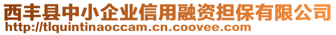 西豐縣中小企業(yè)信用融資擔(dān)保有限公司