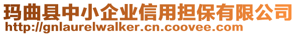 瑪曲縣中小企業(yè)信用擔(dān)保有限公司