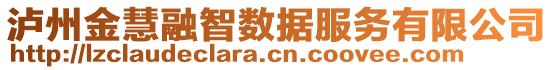 瀘州金慧融智數(shù)據(jù)服務(wù)有限公司