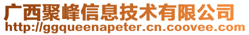 廣西聚峰信息技術有限公司