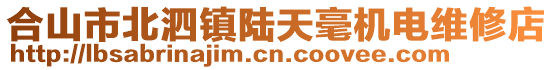 合山市北泗鎮(zhèn)陸天毫機(jī)電維修店