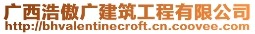 廣西浩傲廣建筑工程有限公司