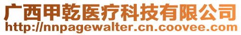 廣西甲乾醫(yī)療科技有限公司