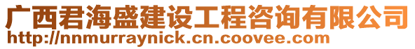 廣西君海盛建設(shè)工程咨詢有限公司