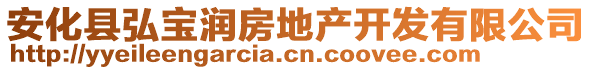 安化縣弘寶潤(rùn)房地產(chǎn)開發(fā)有限公司