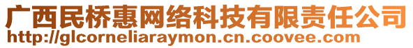 廣西民橋惠網(wǎng)絡(luò)科技有限責(zé)任公司