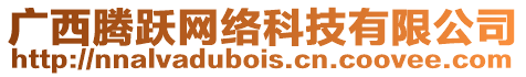 廣西騰躍網(wǎng)絡(luò)科技有限公司