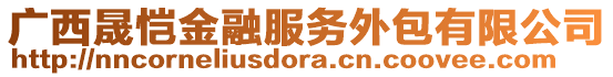 廣西晟愷金融服務外包有限公司