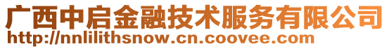 廣西中啟金融技術服務有限公司