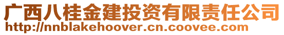 廣西八桂金建投資有限責任公司