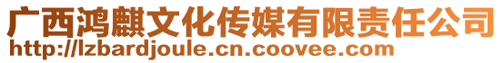 廣西鴻麒文化傳媒有限責(zé)任公司