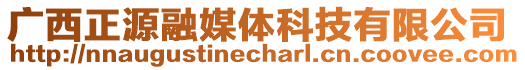 廣西正源融媒體科技有限公司