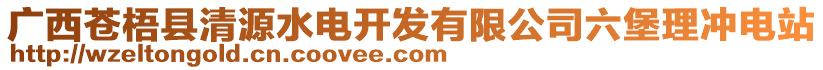 廣西蒼梧縣清源水電開發(fā)有限公司六堡理沖電站