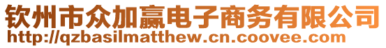 欽州市眾加贏電子商務(wù)有限公司