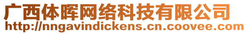 廣西體暉網絡科技有限公司