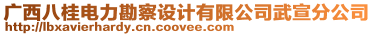 廣西八桂電力勘察設(shè)計(jì)有限公司武宣分公司