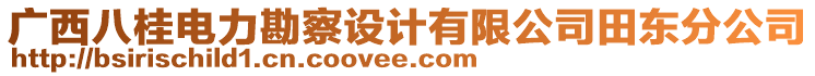 廣西八桂電力勘察設(shè)計有限公司田東分公司