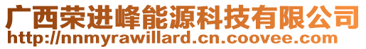 廣西榮進(jìn)峰能源科技有限公司