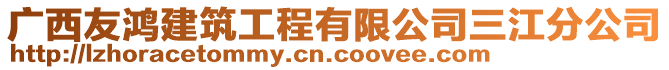 廣西友鴻建筑工程有限公司三江分公司