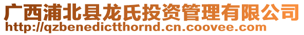 廣西浦北縣龍氏投資管理有限公司