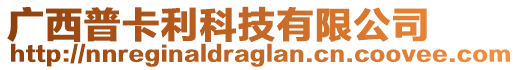 廣西普卡利科技有限公司