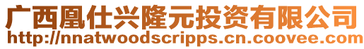 廣西凰仕興隆元投資有限公司