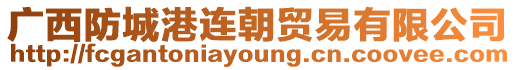 廣西防城港連朝貿(mào)易有限公司